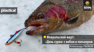 Февральский март: «День сурка» с вибом и пилькером. Александр Рыжов