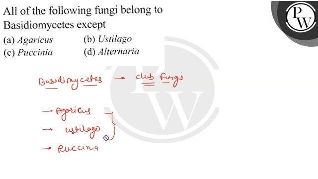 All of the foliowing fungi belong to
Basidiomycetes except(a) Agaricus
(b) Ustilago
(c) Puccinia
.. смотреть онлайн