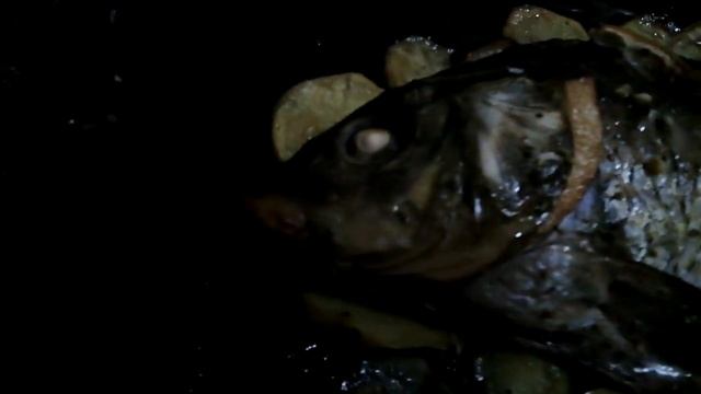 Целая рыба, запечённая в духовке смотреть онлайн