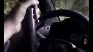 задние амортизаторы  с КIМО