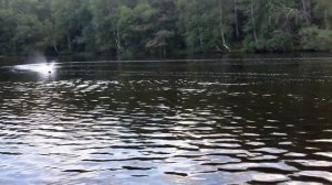 катер радиоуправляемый Joysway BULLET мастер класс  Дмитрия Рожкова. Смотреть всем