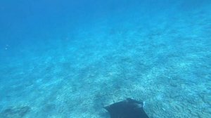 Мальдивы остров Фихалхохи.Maldives Fihalhohi Island Resort.Какой остров выбрать на Мальдивах