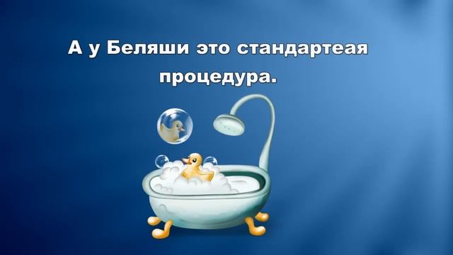 Моем толстых хорьков. И Беляшу заодно.