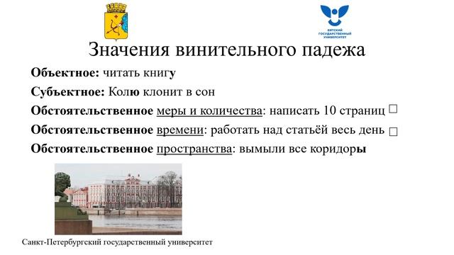 Формообразование, значение и употребление винительного падежа существительных смотреть онлайн