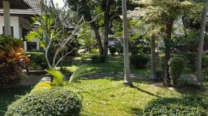 Таиланд Самуи Пляж Чавенг Ной отель First Bungalow