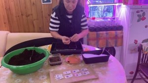 Эустома, посев семян под снег!