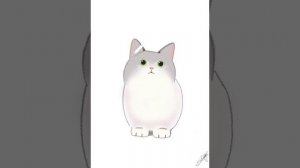Как нарисовать пухленького котика ?