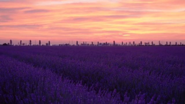 14 Июня - Волшебный день. Не проходите мимо и привлеките удачу | Лунный Календарь смотреть онлайн