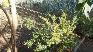 Двор частного жилого дома во Франции.