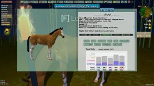 Horse Isle 3; Infinite Wilds - Part 1 - Kismet's herd
