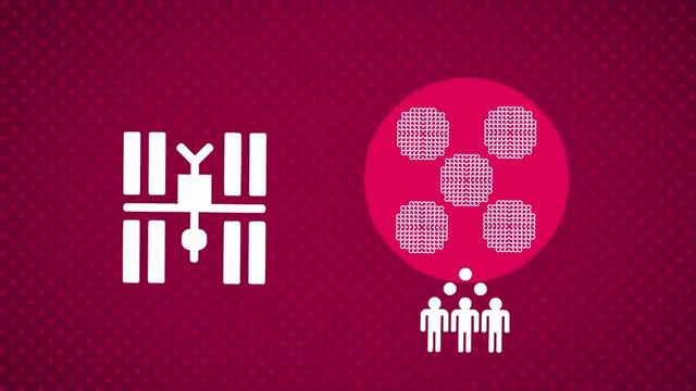 Иерархия интеллекта во вселенной смотреть онлайн