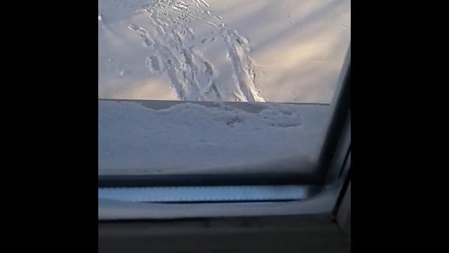 Пластиковое окно промерзло при -30С смотреть онлайн