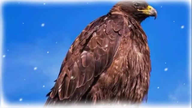 Иль тебе всё равно??? смотреть онлайн