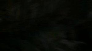 Хронология ЭВОЛЮЦИИ: палеозой и мезозой ГЕОХРОНОЛОГИЯ +  вопрос к подписчикам