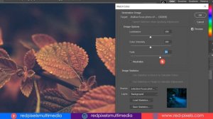 Match Color Photoshop || Changing Images Colors Easily & Quickly - RED PIXELS