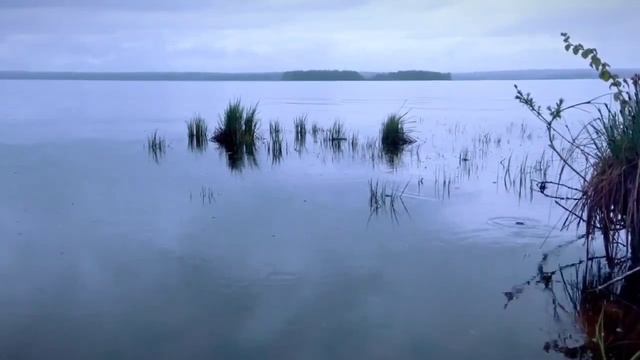 Видеопоэзия "Опавшие листья моей повседневности"