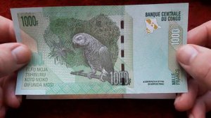 Редкие банкноты мира 🔴 КОНГО 5000 франков 2005 (12) #банкноты #Африка БРАК #congo