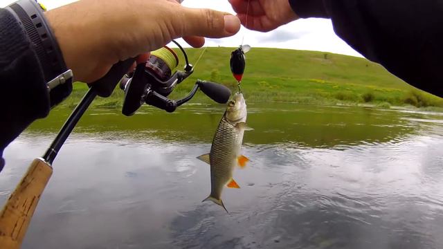 Голавль - заветная цель смотреть онлайн