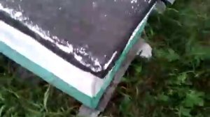 Отводок поднимается.