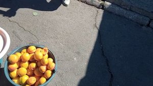 Рынок Новая Каховка, цены 21 июля 2022 г. Подробнее в описании.