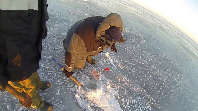 Рыбинка, налим, щука(3) смотреть онлайн