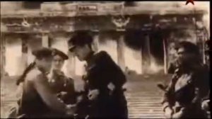 Освобождение Севастополя 1944 год #556