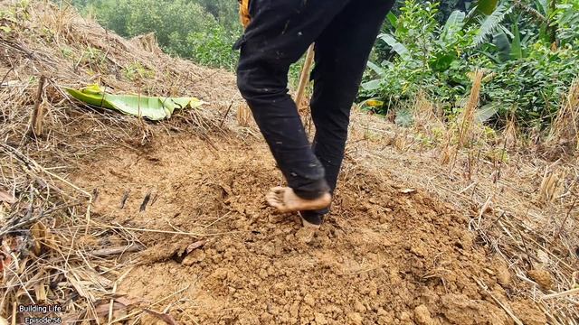 Growing Sugarcane, Growing Sweet Potatoes, Farm Cleaning, Building Life, Episode 56 смотреть онлайн