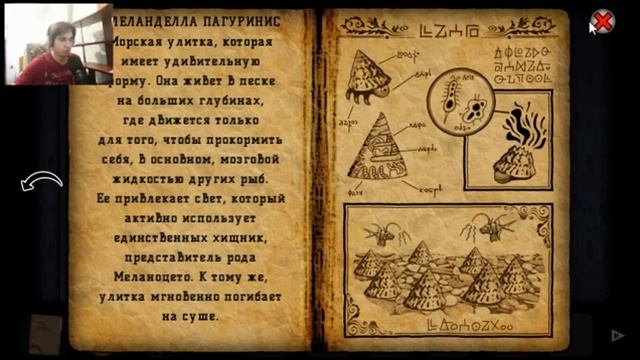 МОРСКИЕ ГЛУБИНЫ • Forgotten Hill Disillusion • #3