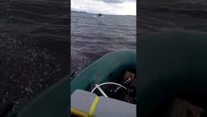 Плм Гольфстрим 5 и Вятка дмк340