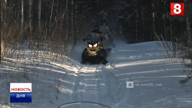 Новосибирск.НОВОСТЬ ДНЯ.Косули-28.12.2016 смотреть онлайн