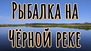 РЫБАЛКА. Малые реки Псковского края. Спининг. Не большой отчёт.