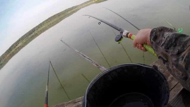 Карась гнёт удочки. смотреть онлайн