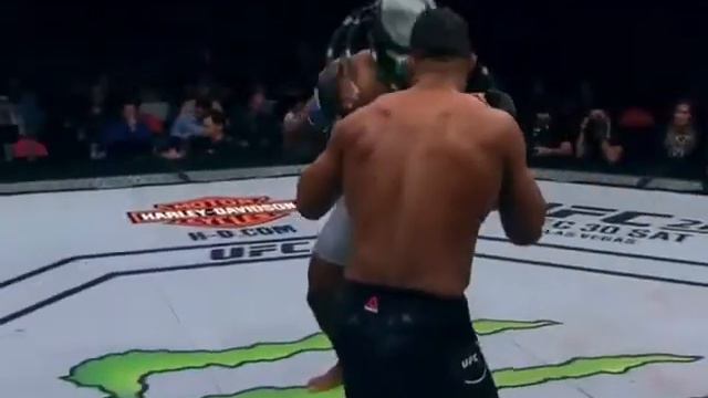 Ramzan "Don" kadirov смотреть онлайн