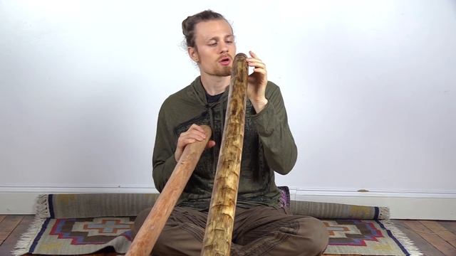 Eucalyptus vs. Yucca Didgeridoo Comparison смотреть онлайн