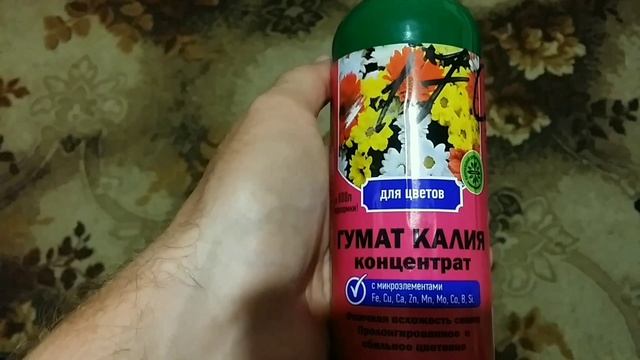 Пересадка и спасение саженцев Дуба(Черешчатого)? смотреть онлайн