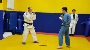 Задняя подножка для смешанного стиля