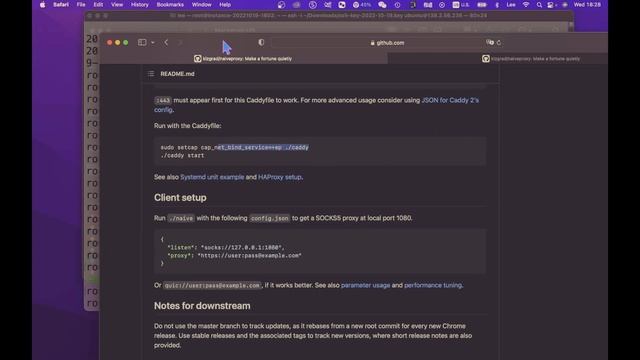 naive节点搭建| Caddyfile配置| 补全作者没有说清楚的部分内容 смотреть онлайн