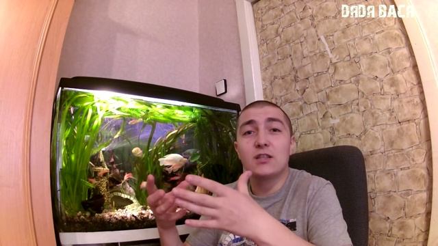 Мутная вода в аквариуме. Почему мутнеет вода в аквариуме? смотреть онлайн