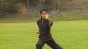 HUNG GAR SHAO-LIN KUNG FU * butterfly palm