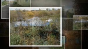 Живет село.mp4