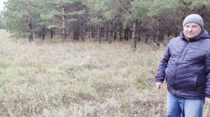 как вырастить дуб из жёлудя