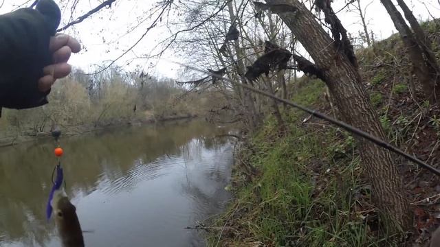 Ловля пассивного ОКУНЯ и ЩУКИ с БЕРЕГА на РЕКЕ ! Апрель смотреть онлайн