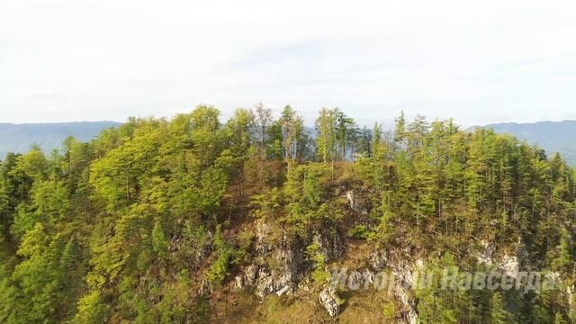 Неожиданно получив дом, появились родственники. Но они даже представить не могли, что… смотреть онлайн