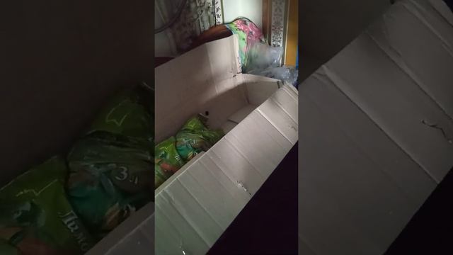 Цитрусовые.Отзыв агромаркет. смотреть онлайн