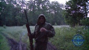 Охота на косулю с подхода