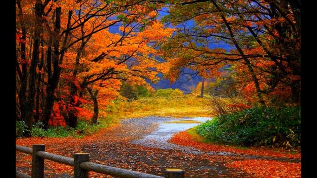 Ringtone: Desert rain (DuB) - Edward maya смотреть онлайн