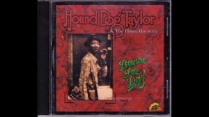 Freddie's Blues - Hound Dog Taylor & the HouseRockers