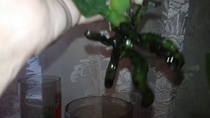 Орхидея.наращиваем корни у реанимашек с препаратом НВ 101