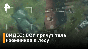?ВСУ вывозят тела наемников в лесополосу под Николаевом — кадры с коптера / РЕН Новости
