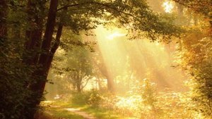 Узнал, что жена завела женатого любовника. Истории из жизни. Аудио рассказы.